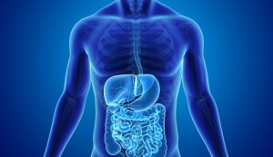 Disbalancing Your Digestive System.